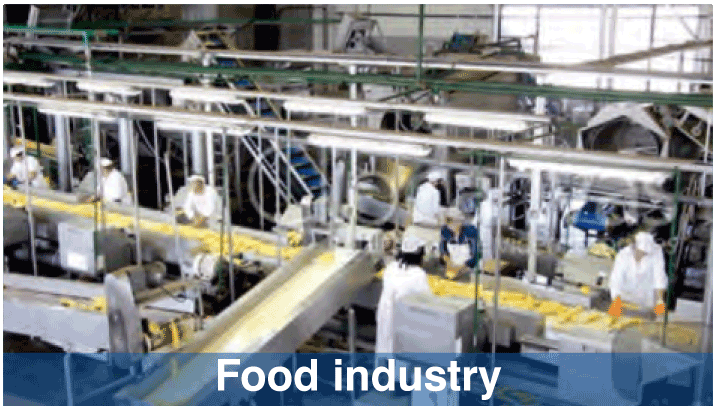 Food Industry