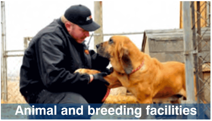 Animal and breeding facilities Animal and breeding facilities